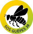 Spécialiste en destruction nids de guêpes et frelons à Grenoble